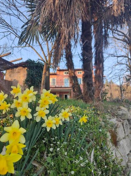 Zahrada ubytování Monfrà - Ospitalità Rurale, Vigneti e Cantina
