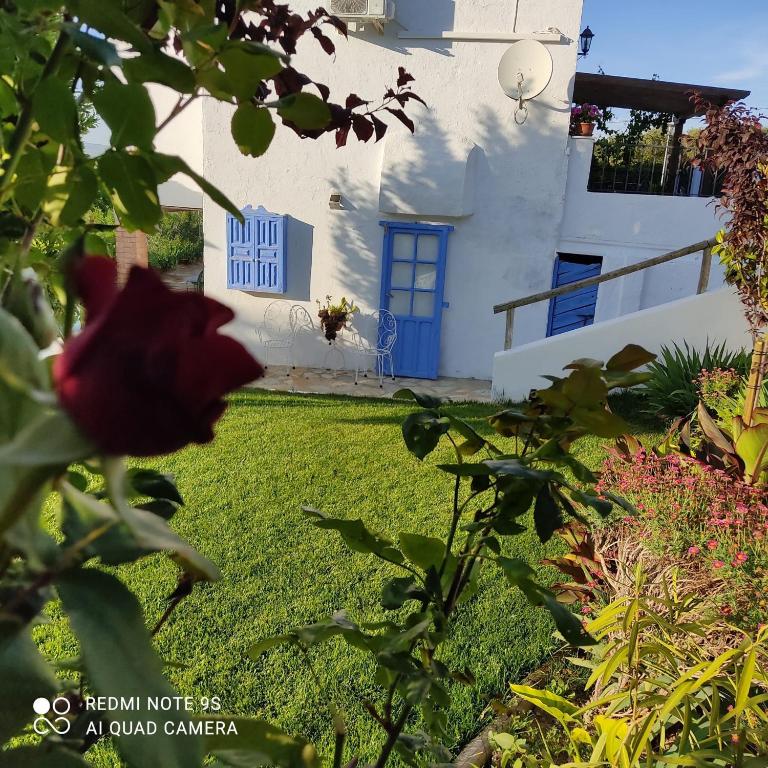 La Casa De La Abuela - 11