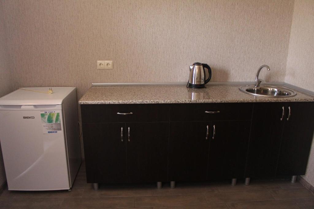 Kuchyň nebo kuchyňský kout v ubytování Hotel Rabati