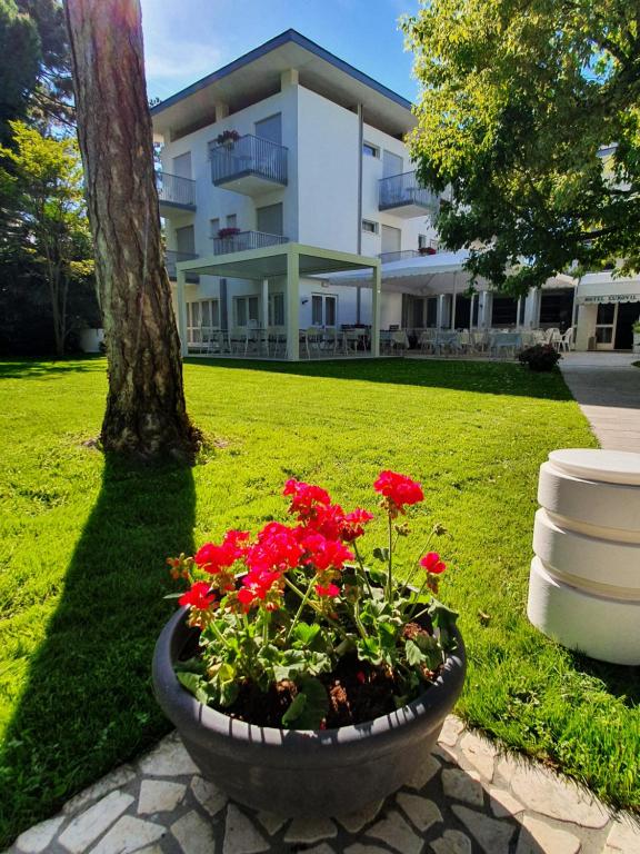 Zahrada ubytování Hotel Eurovil Garni