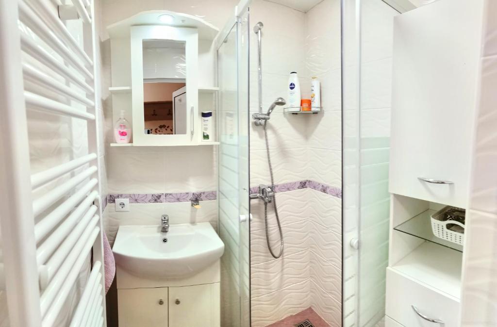 un bagno con doccia e lavandino di Дом Анести a Varna