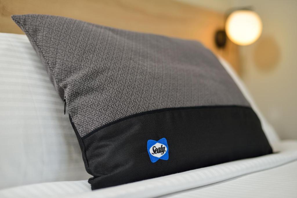 Dandelion apartments - 15