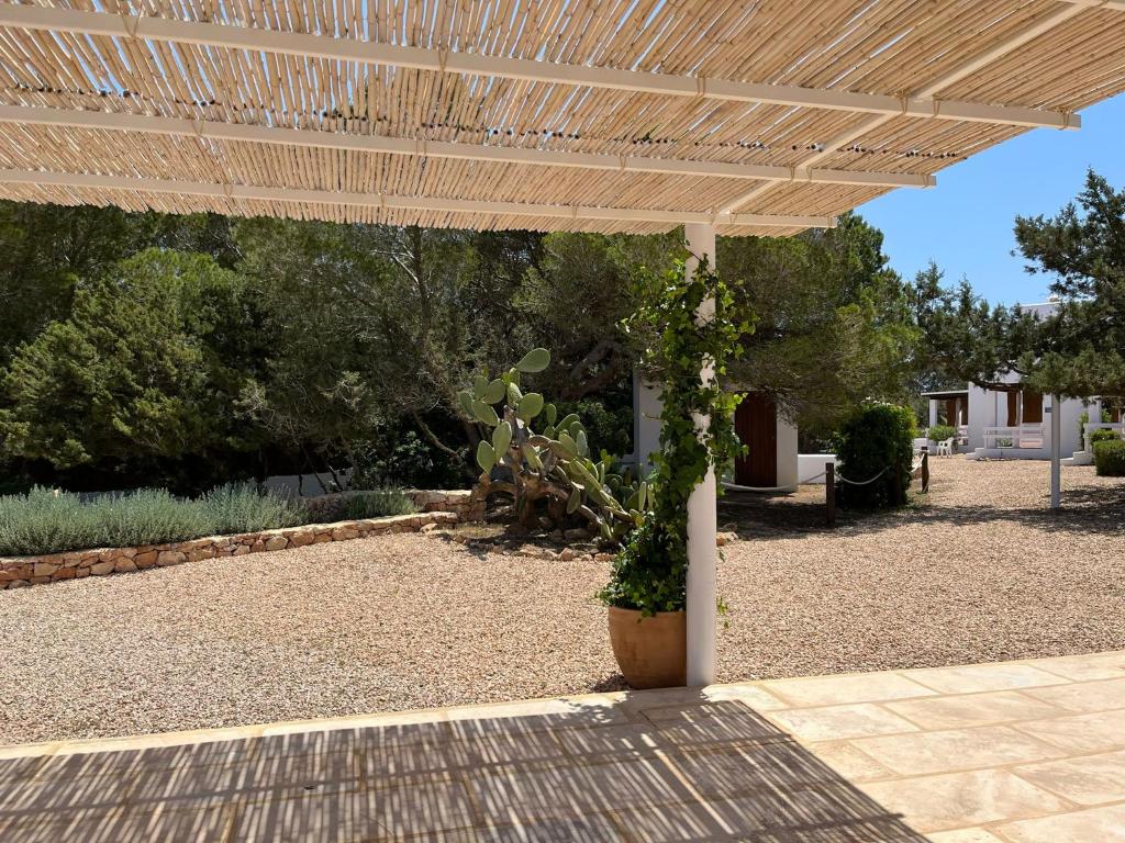 Zahrada ubytování Can Chumbera Formentera