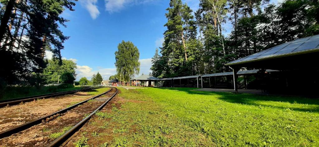 Vonkajšia záhrada v ubytovaní Dom nad rzeką Legą