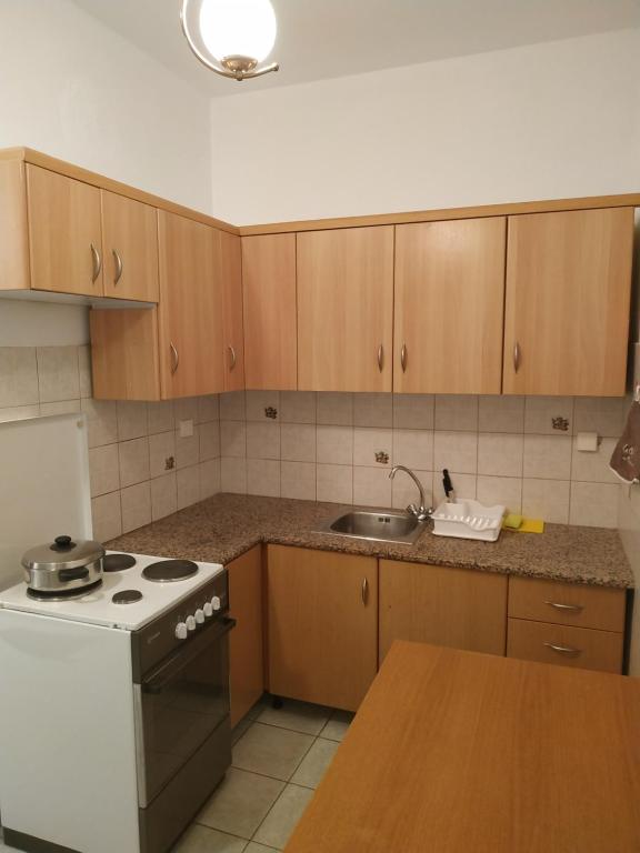 A kitchen or kitchenette at Alexander Apartments Nea Koutali