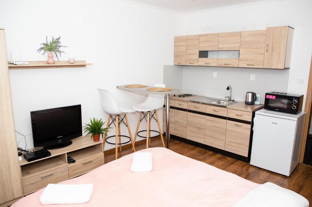a small kitchen with a sink and a refrigerator at COSY STUDIO IN NOVE ZAMKY in Nové Zámky