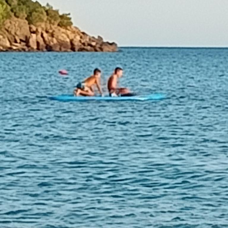 Hosté ubytování Anika