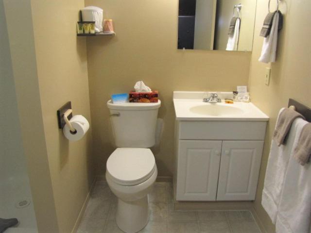 a bathroom with a white toilet and a sink at Bear Country Inn and Suites in Mountain View