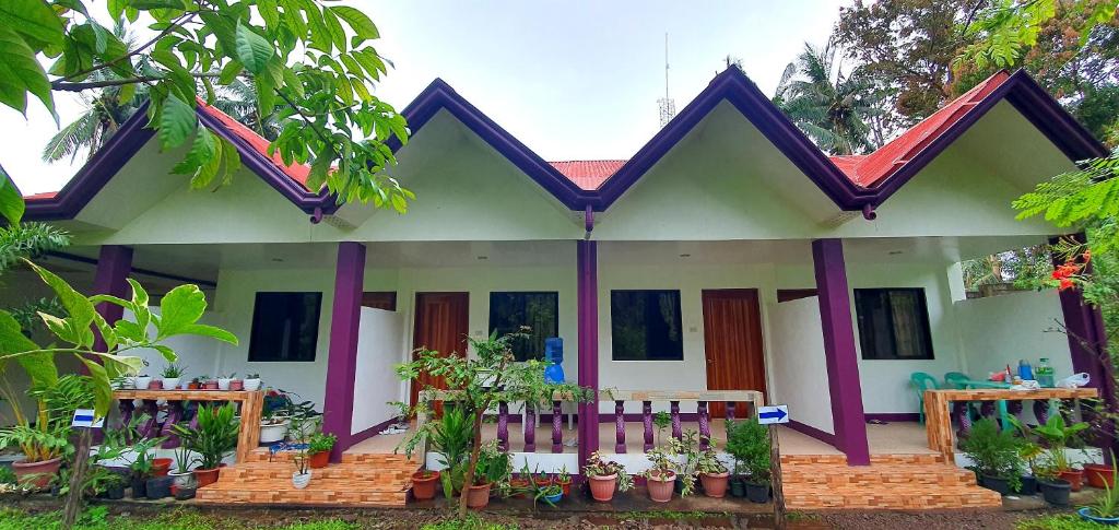 a house with potted plants in front of it at SJ Pabua Travellers Inn in Mambajao