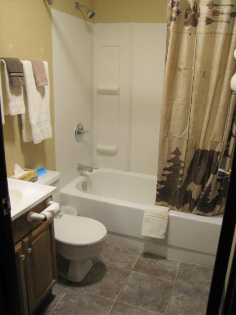 a bathroom with a toilet and a shower curtain at Bear Country Inn and Suites in Mountain View