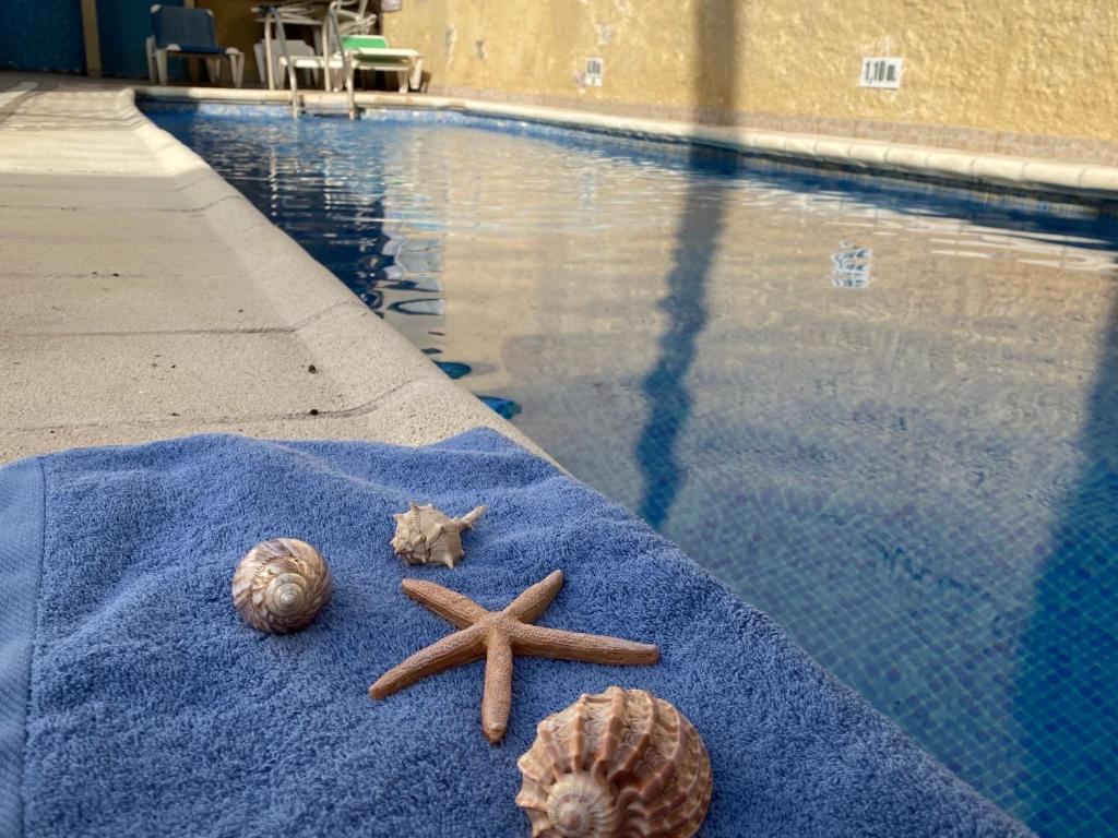 Bazén v ubytování Centrico apartamento con piscina nebo v jeho okolí