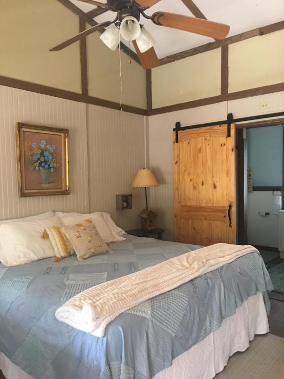 Acorn Hideaways Canton Sweet Tweet Guesthouse King Bed في كانتون: غرفة نوم مع سرير ومروحة سقف