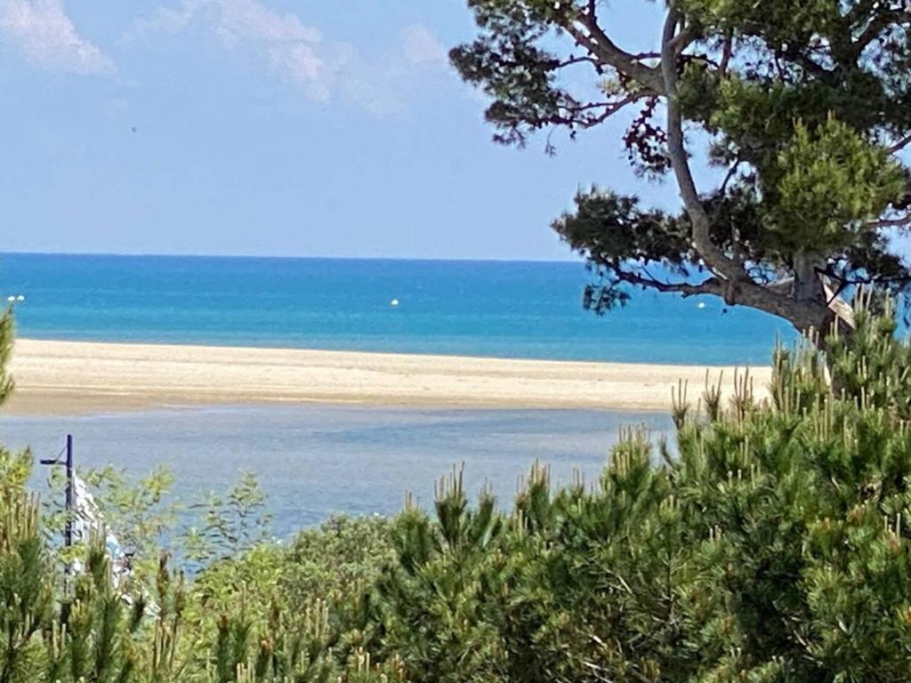 une plage avec un arbre et l'océan en arrière-plan dans l'établissement Appartement pour 4 pers, proche plage, parking, terrasse, commerces à proximité - FR-1-81-559, à La Franqui-Plage