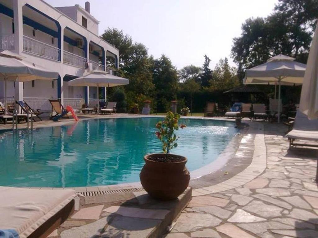 a potted plant sitting next to a swimming pool at Villa Riviera in Stavros