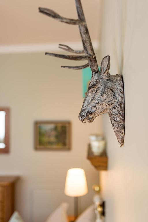 Foto sihtkohas Russell asuva majutusasutuse Arcadia Lodge Russell galeriist