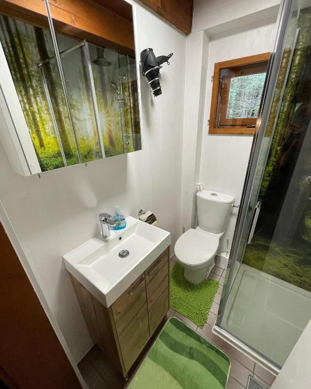 Koupelna v ubytování Ferienhütte Hochalm