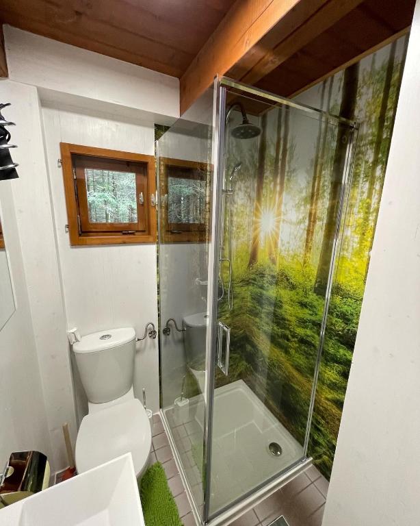 Koupelna v ubytování Ferienhütte Hochalm