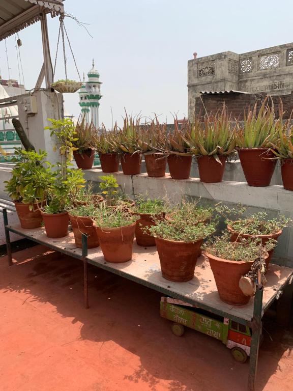 Fotografie z fotogalerie ubytování Backpacker's Nest v destinaci Amritsar
