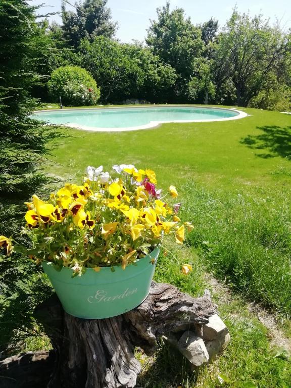 A garden outside Monpoupon