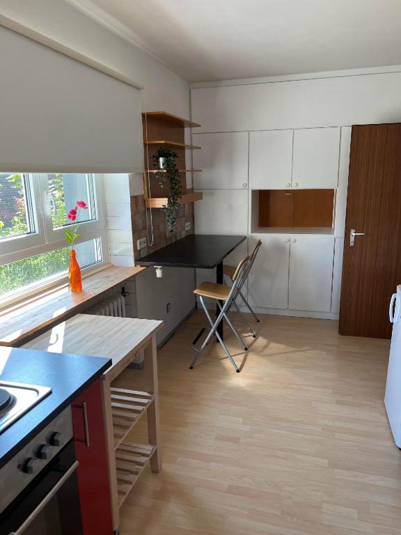 Kuchyň nebo kuchyňský kout v ubytování promedklinik apartment 4