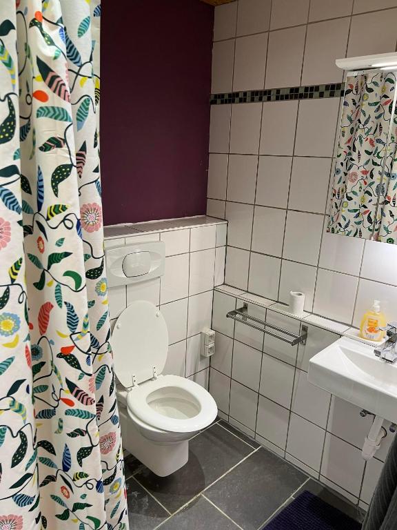 Koupelna v ubytování promedklinik apartment 4