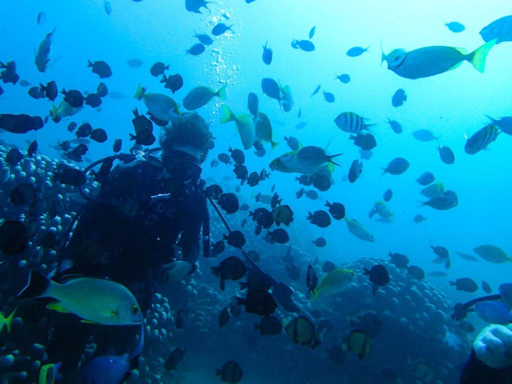 Ospiti di WonderOcean Dive Hostel