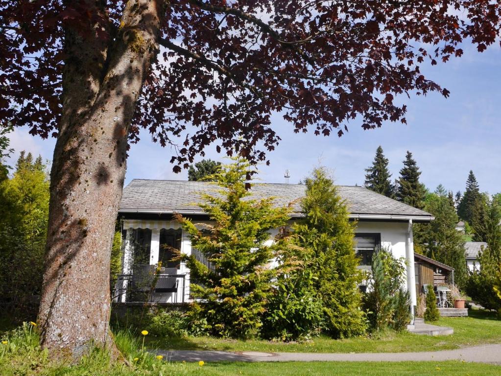 una casa con un árbol delante de ella en Ferienhaus FREE WILLI en Willingen