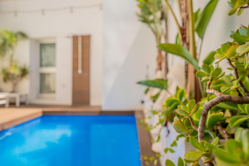 Valencia Luxury Villa, Burjassot – Updated 2023 Prices