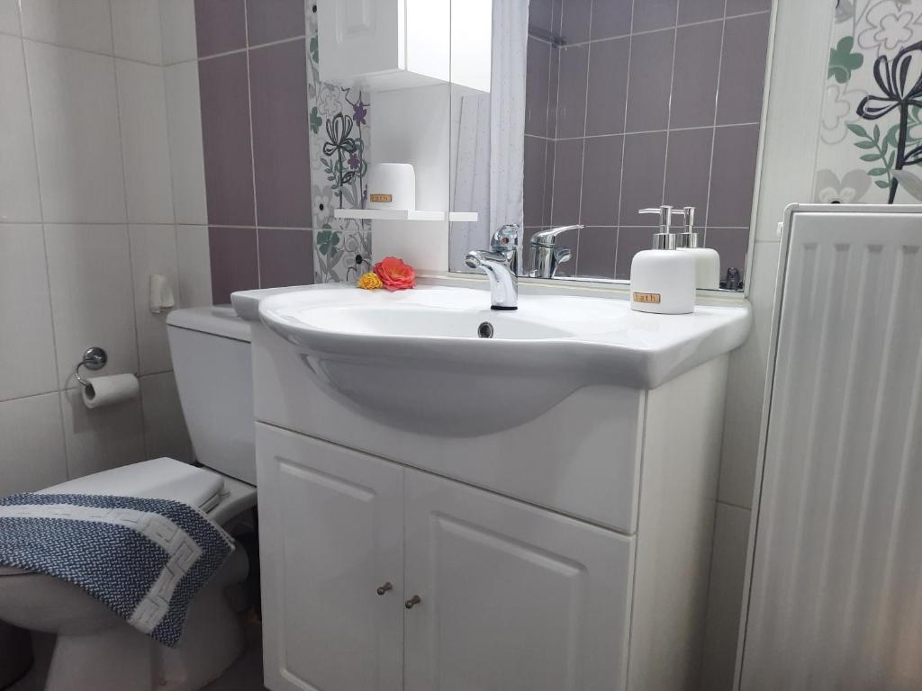 A bathroom at Pavlos Apartment