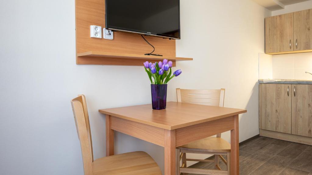 Kuchyň nebo kuchyňský kout v ubytování Apartmány a Studia Zámecký park
