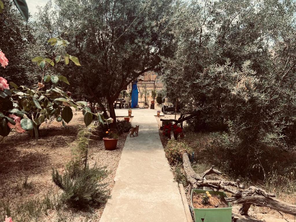 Taman di luar IBN Khaldoon