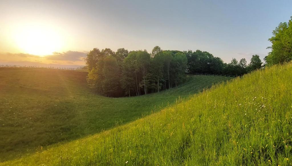 Przyroda w pobliżu tego gospodarstwa agroturystycznego
