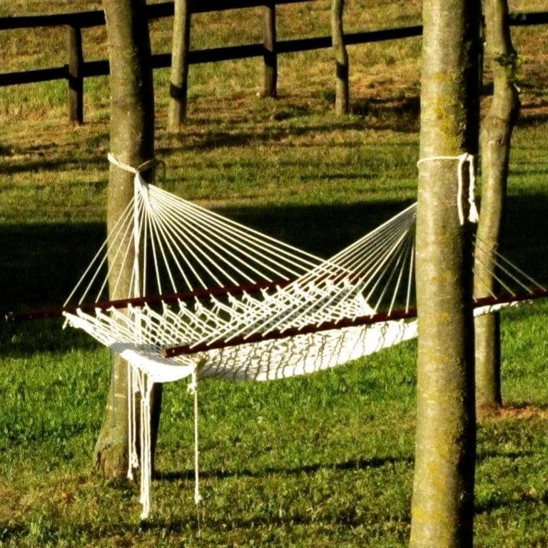 Zdjęcie z galerii obiektu Agriturismo l'Eremo w mieście Volpago del Montello