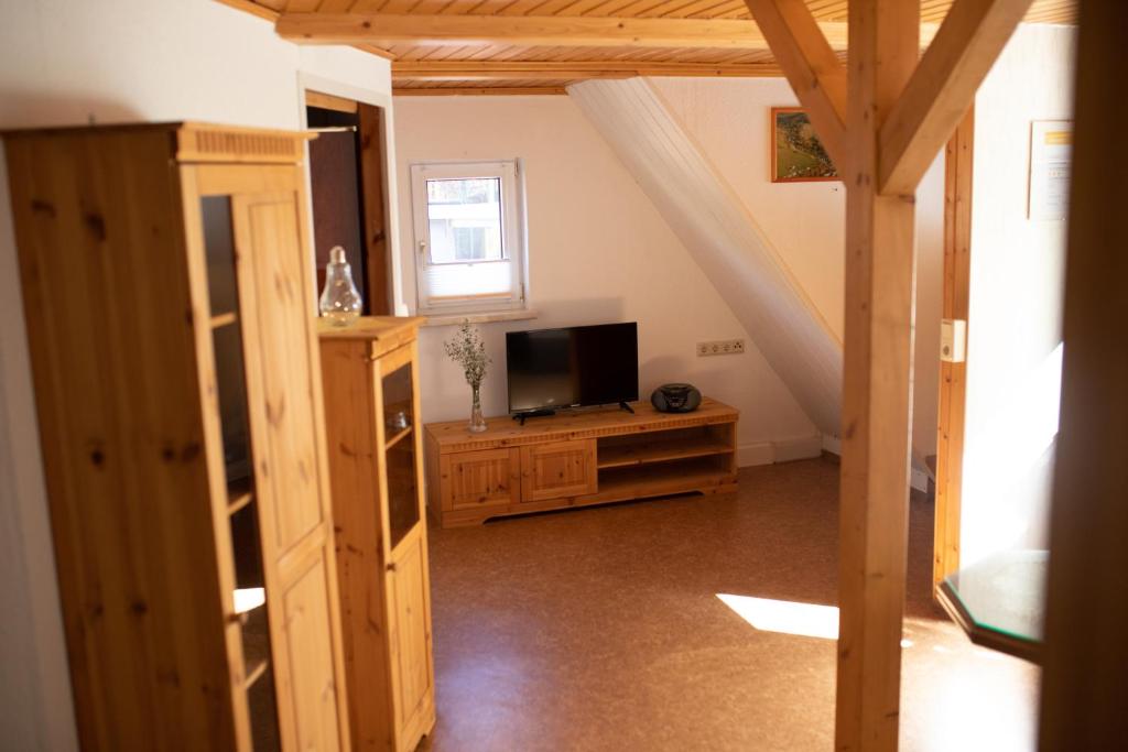 TV a/nebo společenská místnost v ubytování Ferienwohnung-Ihle Olbernhau