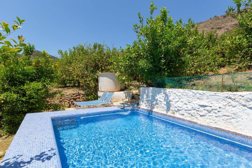 a swimming pool with a chair and some trees at Casa Altavista in Alora