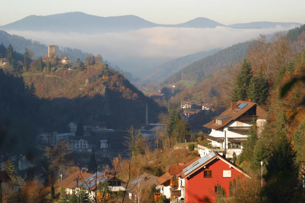 a town in a valley with mountains in the background at Ferienwohnung Sabine in Hornberg