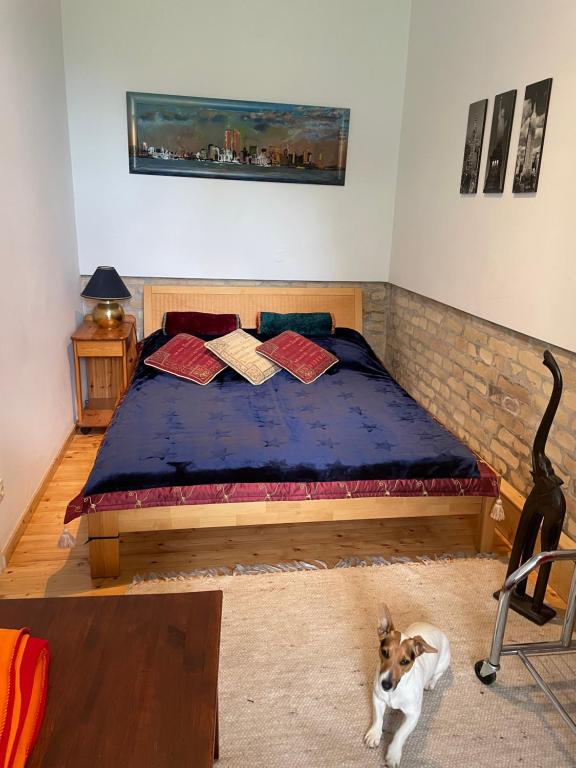 a bed in a bedroom with a dog laying on the floor at Nationalpark Lobau Wohnung in Groß-Enzersdorf
