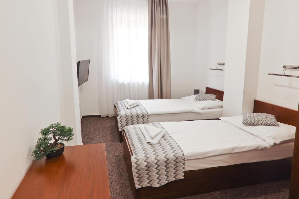 Postel nebo postele na pokoji v ubytování Hotel Slanica