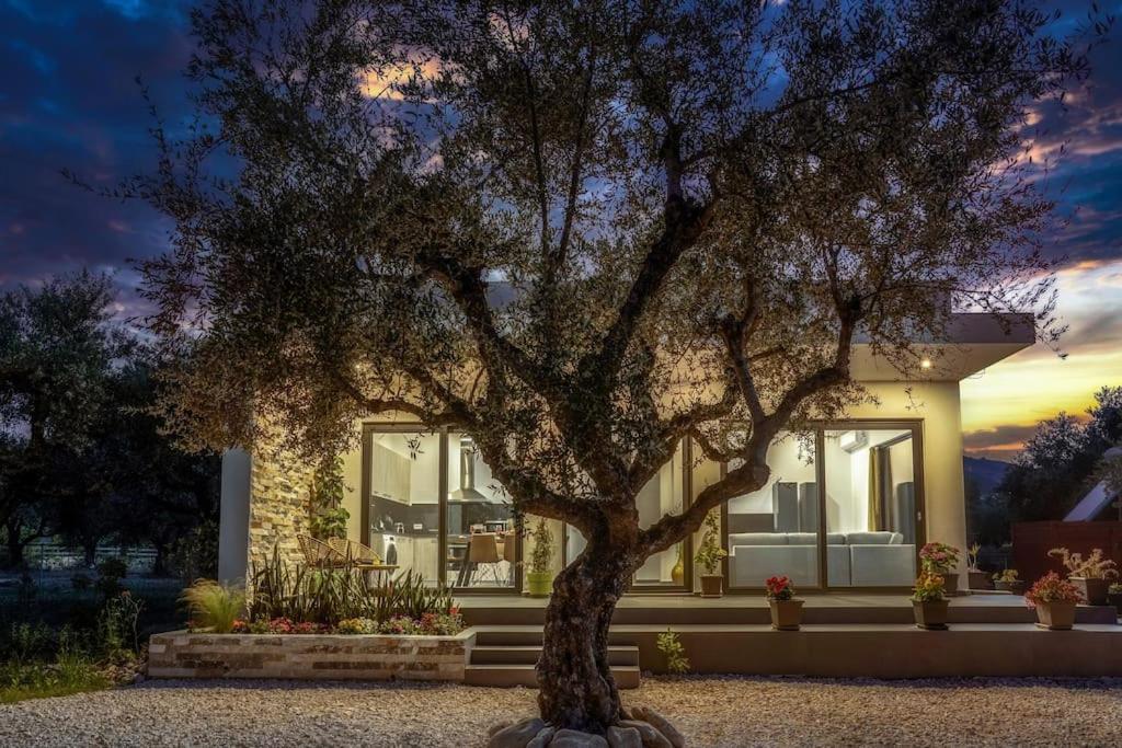 ein Haus mit einem Baum davor in der Unterkunft ALFI'S HOUSE LITHAKIA ZAKYNTHOS in Lithakia