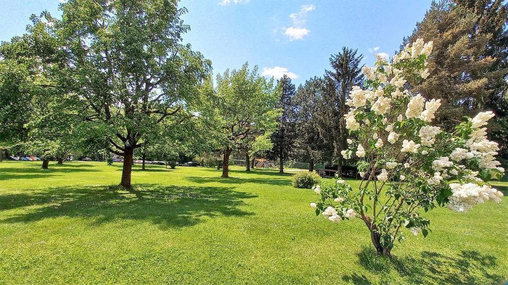 Zahrada ubytování RUTH Haus KMB Seeblickappartement am Ossiacher See mit direktem Seezugang, Hallenbad