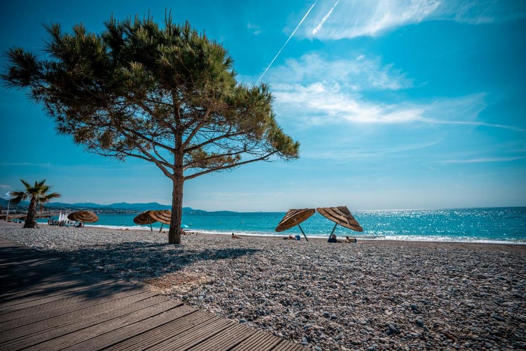 a tree on a beach with umbrellas and the ocean at FAME - Marina baie des Anges in Villeneuve-Loubet