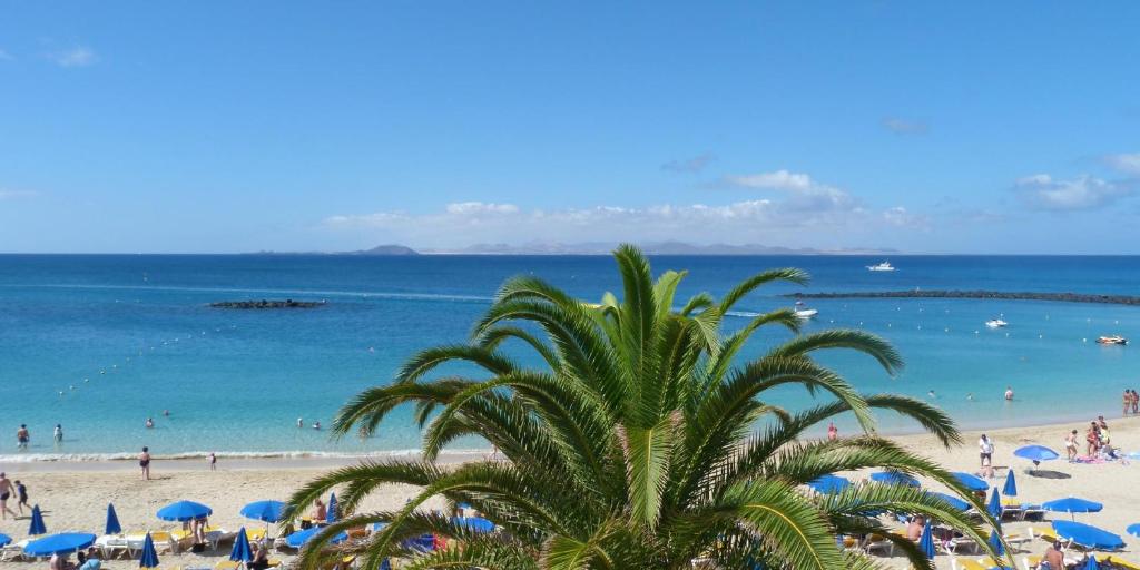 una playa con una palmera y el océano en Apartamentos Thaisay LUZ DEL MAR II, en Puerto del Carmen