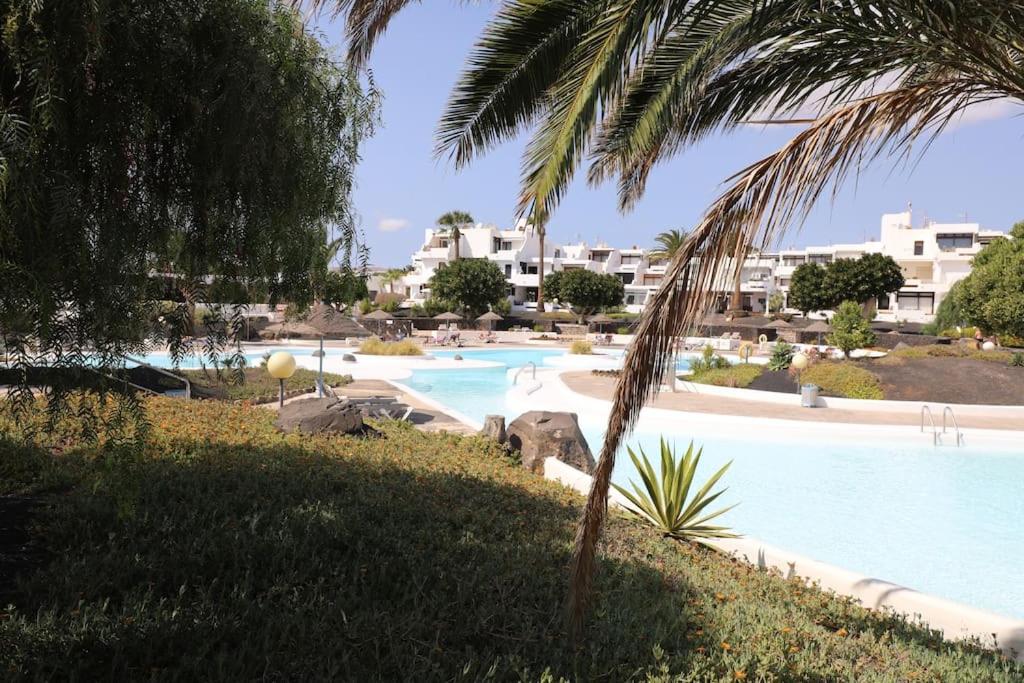 a swimming pool in a resort with a palm tree at Casa Louise in Costa Teguise