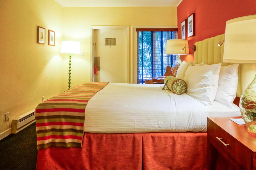 Hotel Del Sol - Queen Room With Pool View