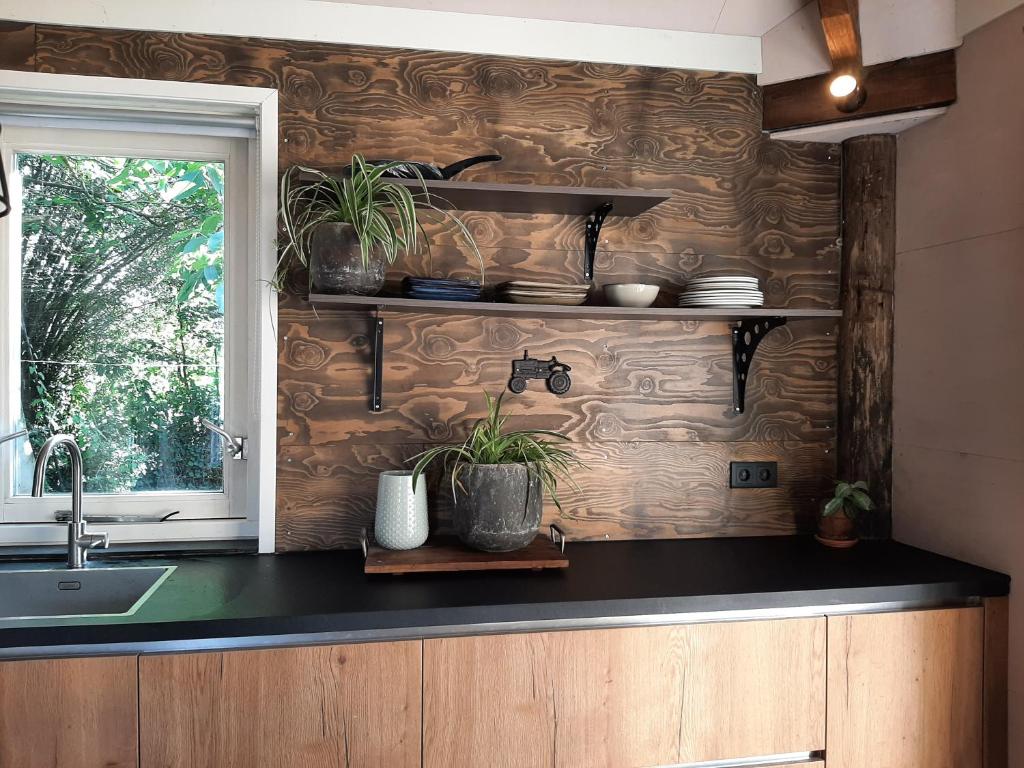 Kuchyň nebo kuchyňský kout v ubytování Appartement Voorhuis en chalet Klein Waterland