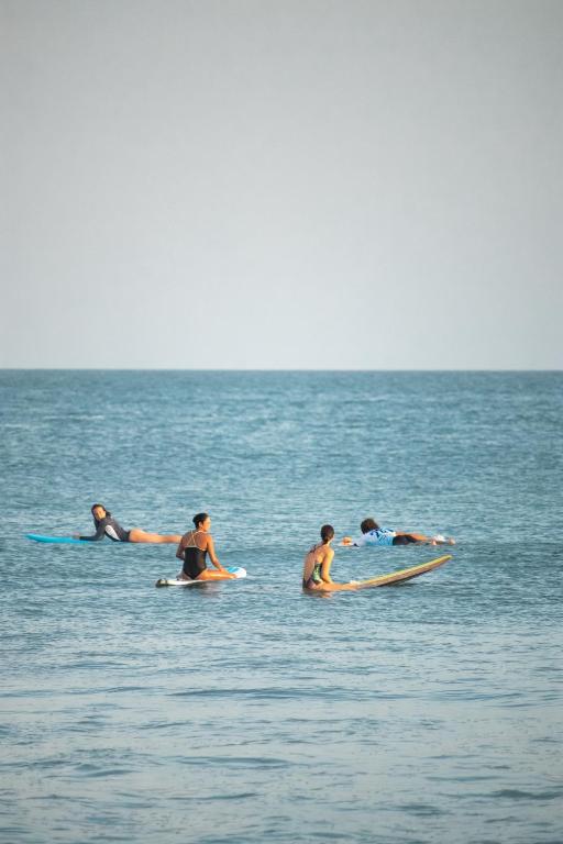 Majutusasutuse Panama Beach Lodge külastajad