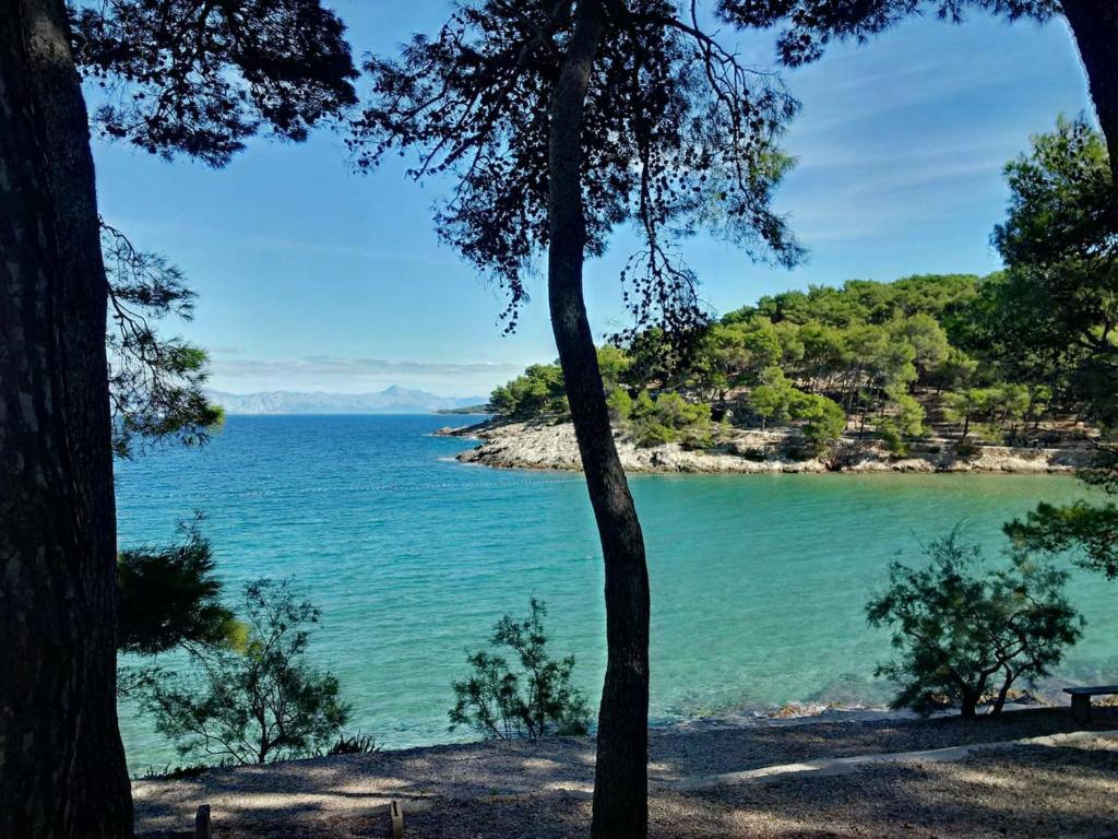 a view of a body of water with trees at APARTMANI GOMILA in Jelsa