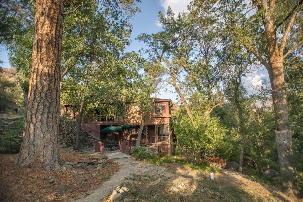 a house in the woods with trees at Quiet Mind Lodge, Spa & Retreat Sequoias in Kernville