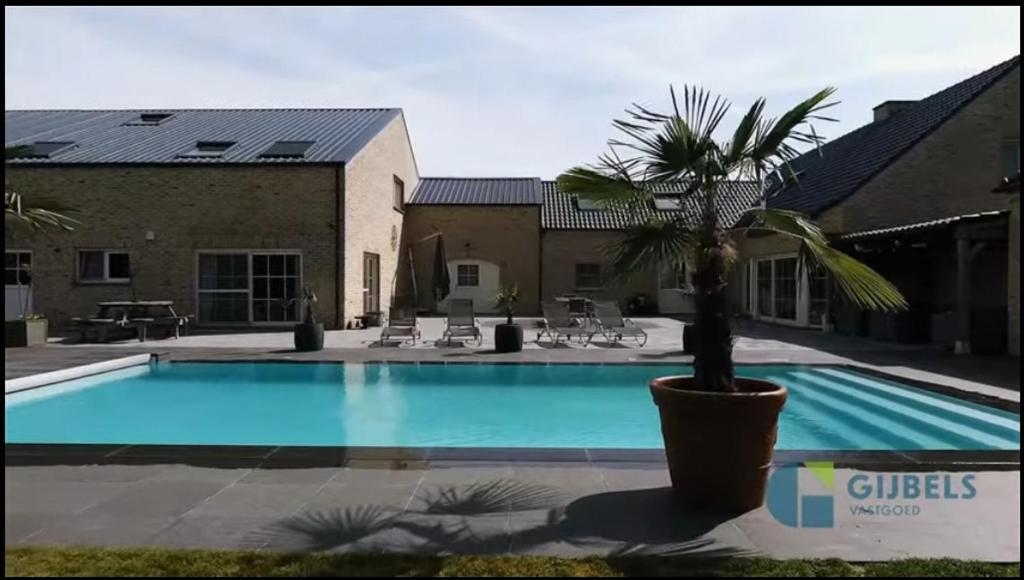 a large swimming pool with a palm tree next to a building at Susberg 3 luxe verblijf met zwembad en sauna in Pelt