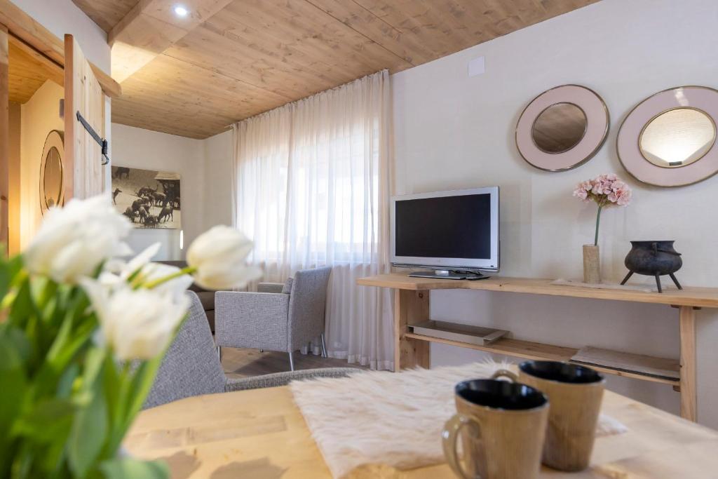 TV a/nebo společenská místnost v ubytování Appartementhaus Anka